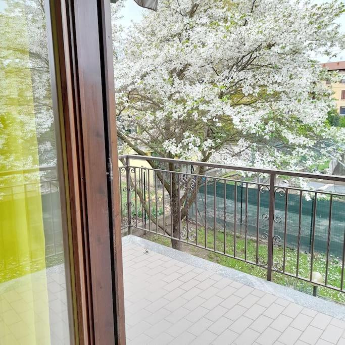 Il Vecchio Kiwi - House With Private Garden Vila Oleggio Castello Exterior foto