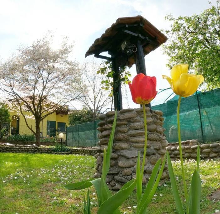 Il Vecchio Kiwi - House With Private Garden Vila Oleggio Castello Exterior foto